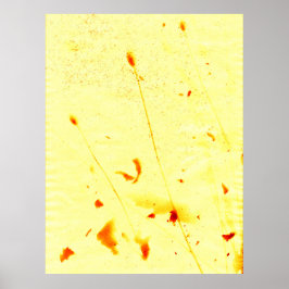 gedroogde papaver en zonneklaar Poster