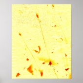 gedroogde papaverstelen en zaden, zonneklaar Poste Poster (Voorkant)