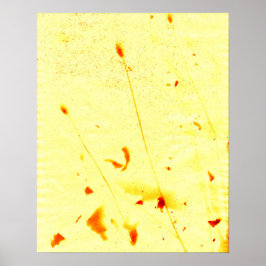 gedroogde papaverstelen en zaden, zonneklaar Poste Poster