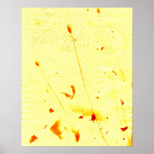 gedroogde papaverstelen en zaden, zonneklaar Poste Poster (Voorkant)