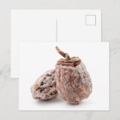Gedroogde Persimmon Briefkaart (Voorkant / Achterkant)