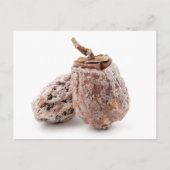 Gedroogde Persimmon Briefkaart