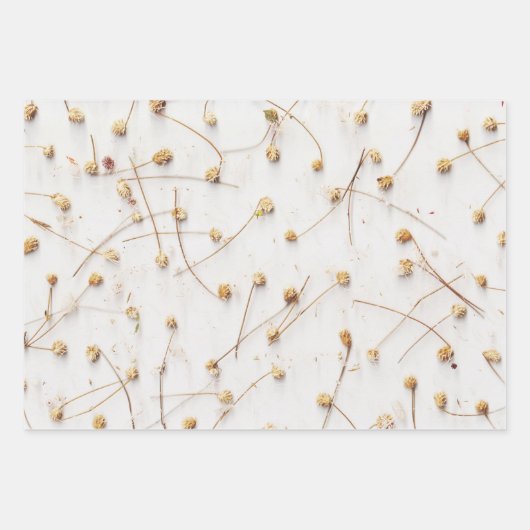 Gedroogde planten voor bruiloften en geschenken inpakpapier vel (Voorkant 3)