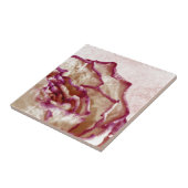 Gedroogde roze roze roze tegeltje (Zijkant)