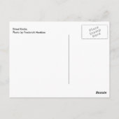 Gedroogde stampen briefkaart (Achterkant)