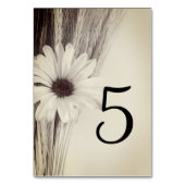 Gedroogde tarwe en Daisy Country Boerderij Wedding Kaart (Achterkant)