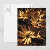 Gedroogde ventilator Abstract Briefkaart (Voorkant / Achterkant)