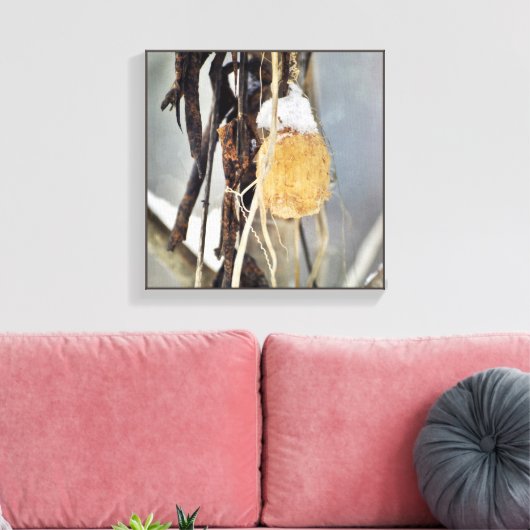 Gedroogde wildeknollen wijnzegenzaad in de winter canvas afdruk (Insitu (Woonkamer))