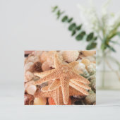 Gedroogde zeeen sterren verkocht als souvenirs 2 briefkaart (Staand voorkant)