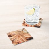 Gedroogde zeeen sterren verkocht als souvenirs 2 kartonnen onderzetters (Insitu)