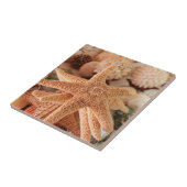 Gedroogde zeeen sterren verkocht als souvenirs tegeltje (Zijkant)