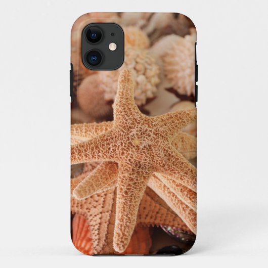 Gedroogde zeesterren verkocht als souvenirs Case-Mate iPhone case (Achterkant)