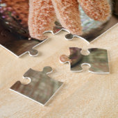 Gedroogde zeesterren verkocht als souvenirs legpuzzel (Zijkant)