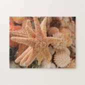 Gedroogde zeesterren verkocht als souvenirs legpuzzel (Horizontaal)