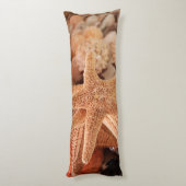 Gedroogde zeesterren verkocht als souvenirs lichaamskussen (Achterkant (Verticaal))