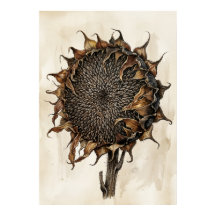 Gedroogde Zonnebloem Botanische Print | Vintage Na