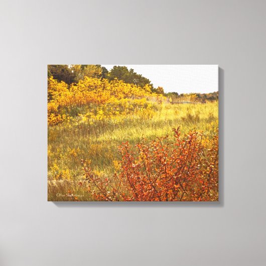 GEDRUKT KANVAS GLOSS-AFDRUKKING CANVAS AFDRUK (Voorkant)