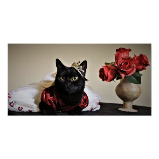 Gedrukt voor de bal perfect poster (Voorkant)