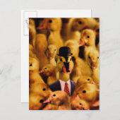 Gedrukt voor succes Duck Briefkaart (Voorkant / Achterkant)