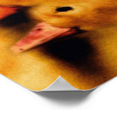 Gedrukt voor succes Duck Poster (Hoek)