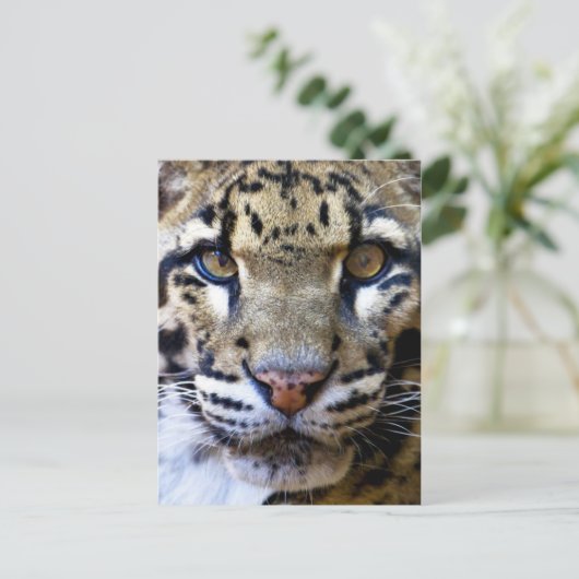 Gedrukte luipsplaat briefkaart (Staand voorkant)