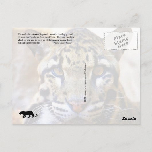 Gedrukte luipsplaat briefkaart (Achterkant)