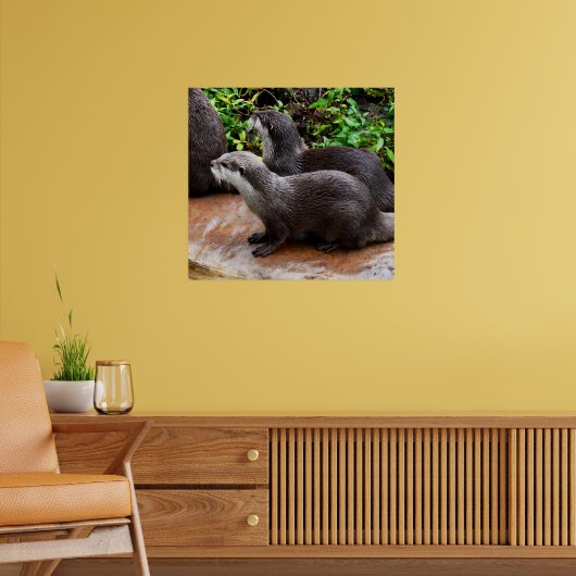 *Geduld aan het water: twee kleine grijze otters Poster (Woonkamer 2)