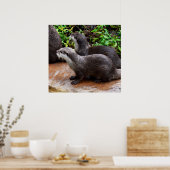 *Geduld aan het water: twee kleine grijze otters Poster (Keuken)