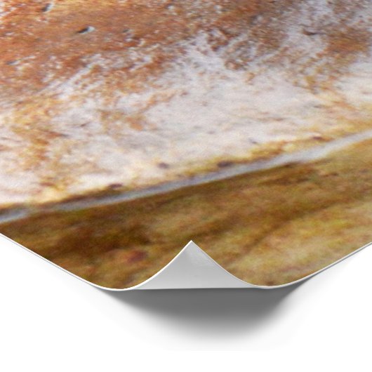 *Geduld aan het water: twee kleine grijze otters Poster (Hoek)