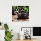 *Geduld aan het water: twee kleine grijze otters Poster (Thuiskantoor)