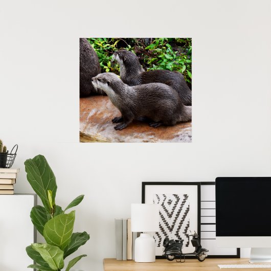 *Geduld aan het water: twee kleine grijze otters Poster (Thuiskantoor)