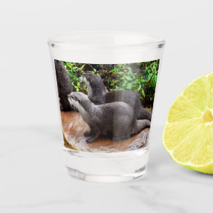*Geduld aan het water: twee kleine grijze otters Shot Glas