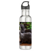 *Geduld aan het water: twee kleine grijze otters Waterfles (Voorkant)