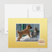 Geduld, Grasshopper. Briefkaart (Voorkant / Achterkant)