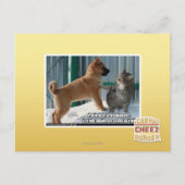 Geduld, Grasshopper. Briefkaart (Voorkant)