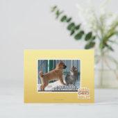 Geduld, Grasshopper. Briefkaart (Staand voorkant)