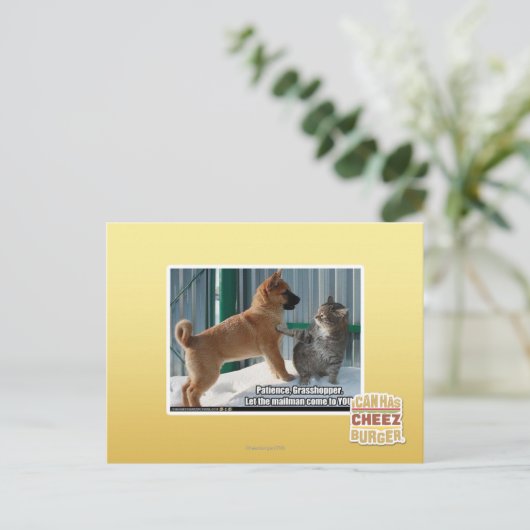 Geduld, Grasshopper. Briefkaart (Staand voorkant)