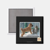 Geduld, Grasshopper. Magneet (Voorkant / Achterkant)