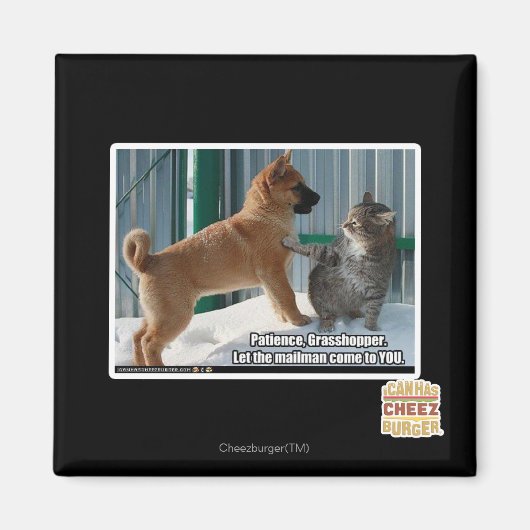 Geduld, Grasshopper. Magneet (Voorkant)