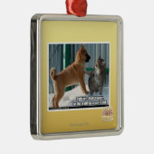 Geduld, Grasshopper. Metalen Ornament (Rechts)