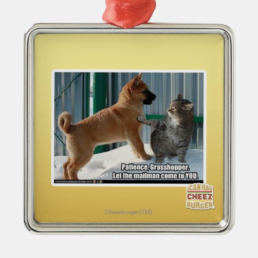 Geduld, Grasshopper. Metalen Ornament (Voorkant)