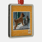 Geduld, Grasshopper. Metalen Ornament (Rechts)