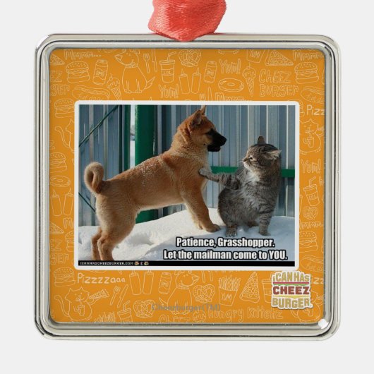 Geduld, Grasshopper. Metalen Ornament (Voorkant)