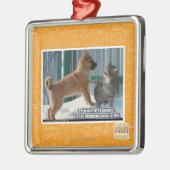 Geduld, Grasshopper. Metalen Ornament (Links)