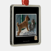 Geduld, Grasshopper. Metalen Ornament (Rechts)