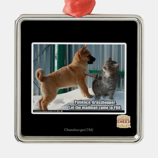 Geduld, Grasshopper. Metalen Ornament (Voorkant)