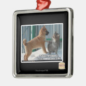 Geduld, Grasshopper. Metalen Ornament (Links)