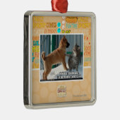 Geduld, Grasshopper. Metalen Ornament (Rechts)