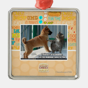 Geduld, Grasshopper. Metalen Ornament