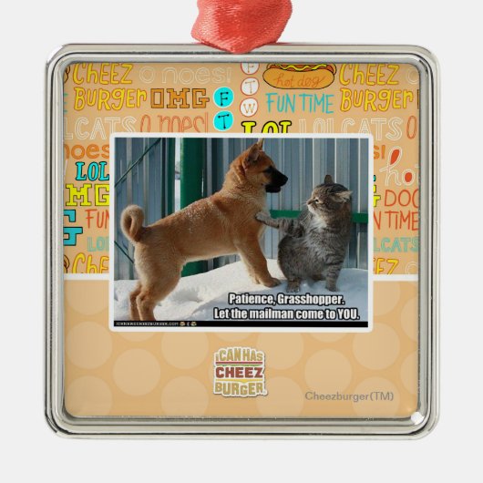 Geduld, Grasshopper. Metalen Ornament (Voorkant)